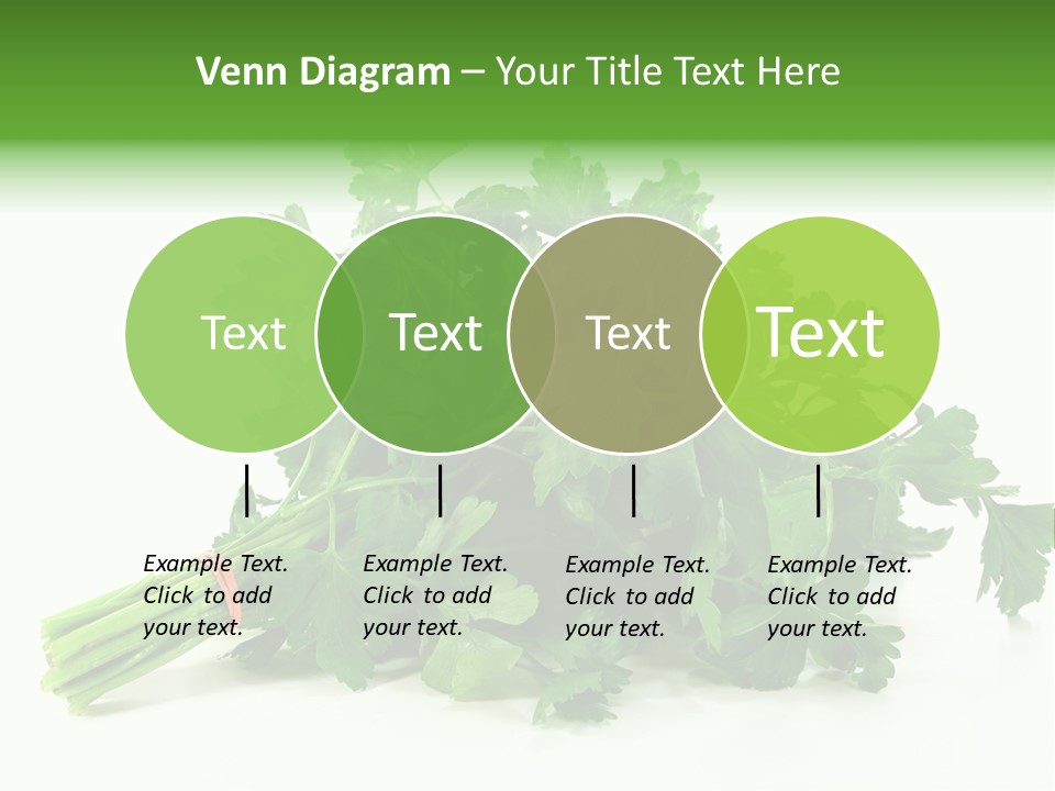 Petroselinum Crispum Soup Spices PowerPoint Template