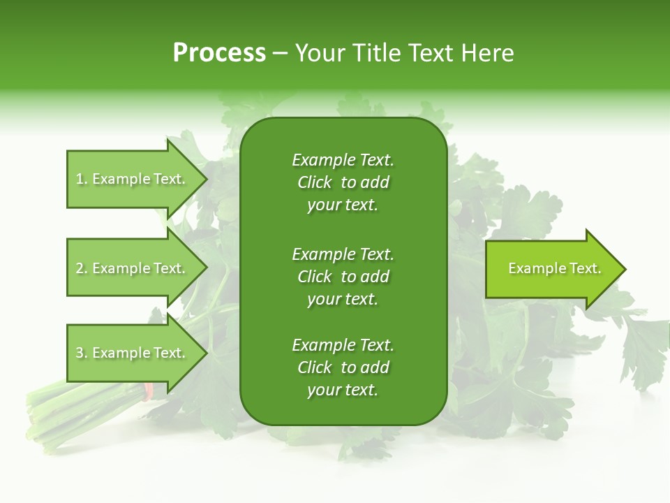 Petroselinum Crispum Soup Spices PowerPoint Template
