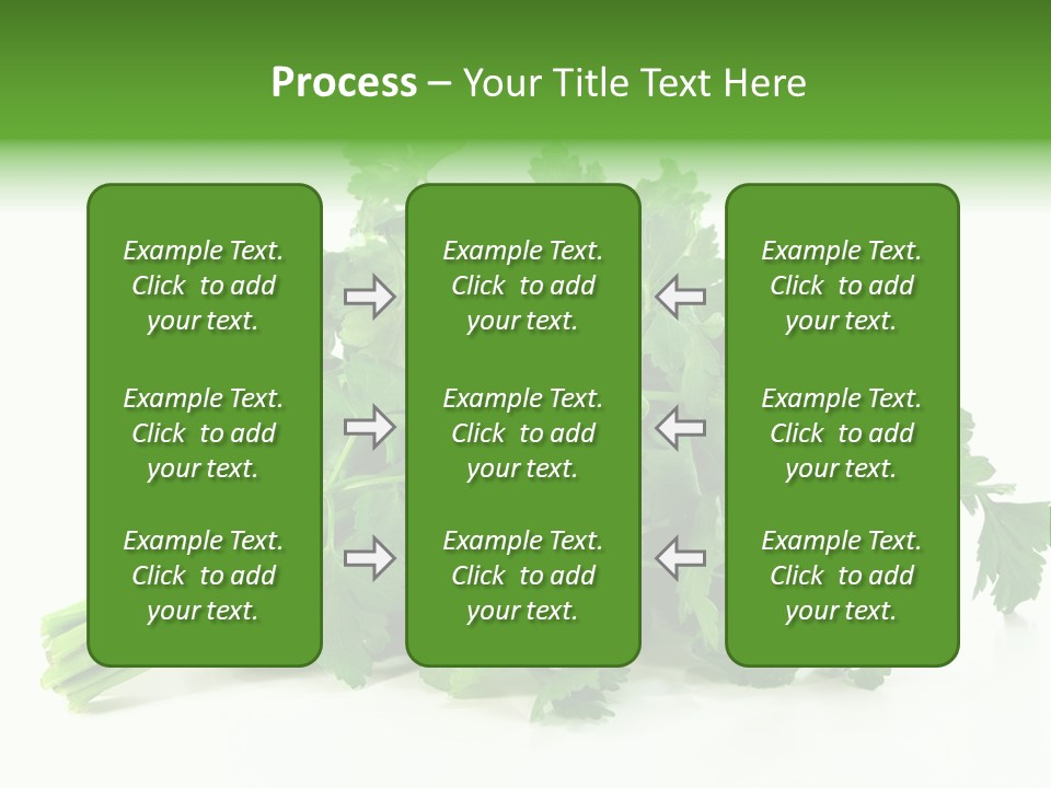 Petroselinum Crispum Soup Spices PowerPoint Template
