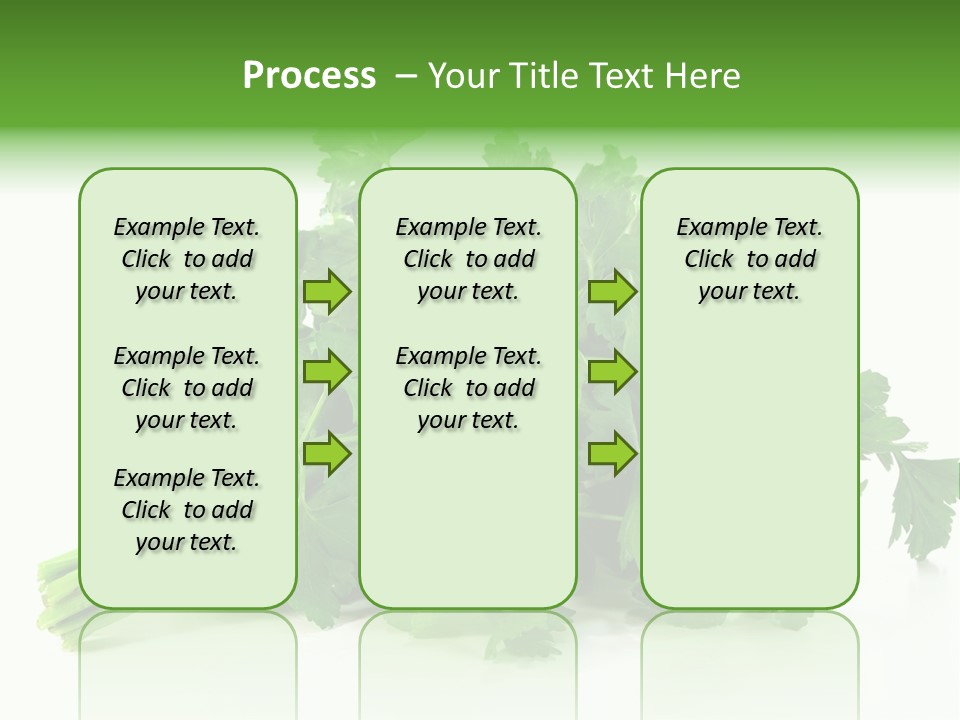 Petroselinum Crispum Soup Spices PowerPoint Template