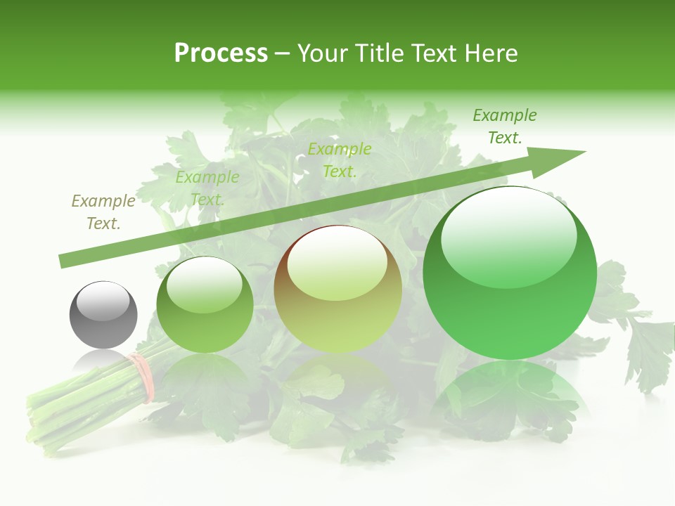 Petroselinum Crispum Soup Spices PowerPoint Template