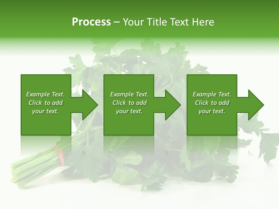 Petroselinum Crispum Soup Spices PowerPoint Template