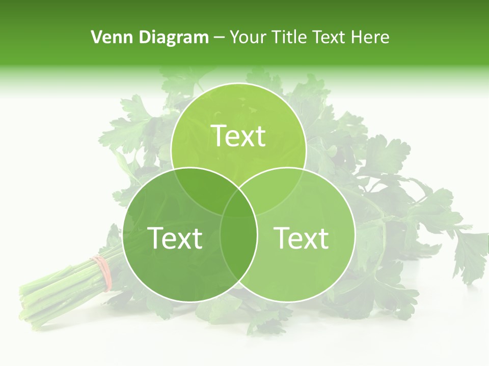 Petroselinum Crispum Soup Spices PowerPoint Template