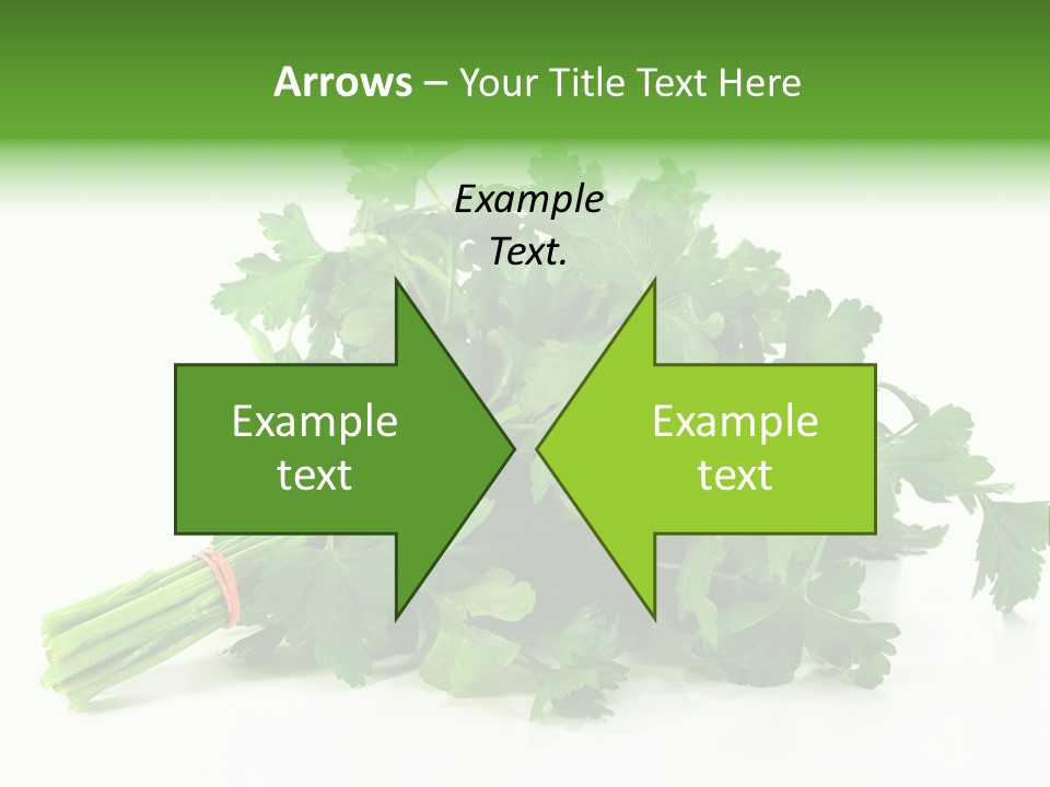 Petroselinum Crispum Soup Spices PowerPoint Template