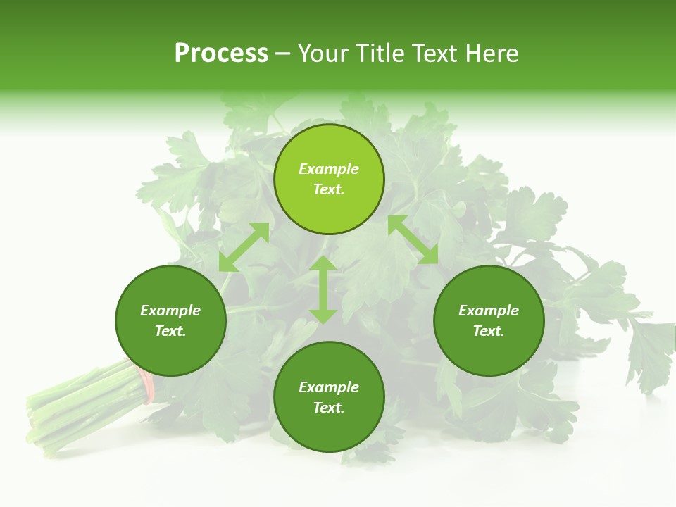 Petroselinum Crispum Soup Spices PowerPoint Template