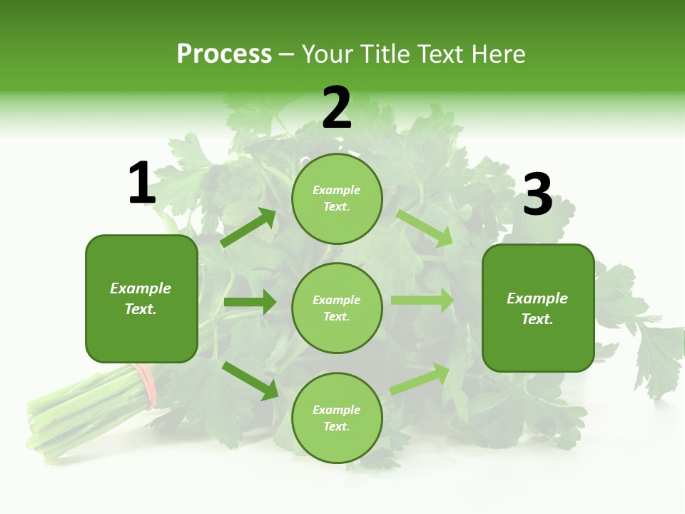 Petroselinum Crispum Soup Spices PowerPoint Template