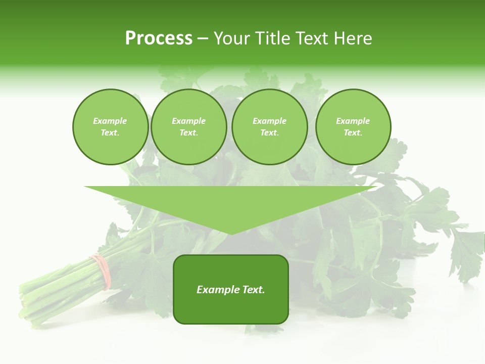 Petroselinum Crispum Soup Spices PowerPoint Template