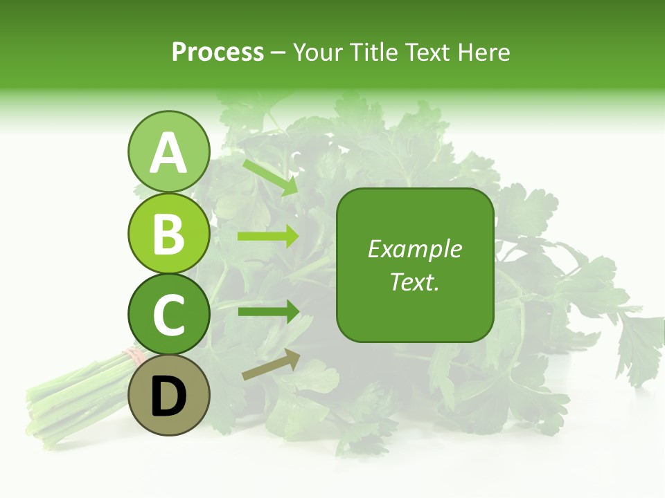 Petroselinum Crispum Soup Spices PowerPoint Template