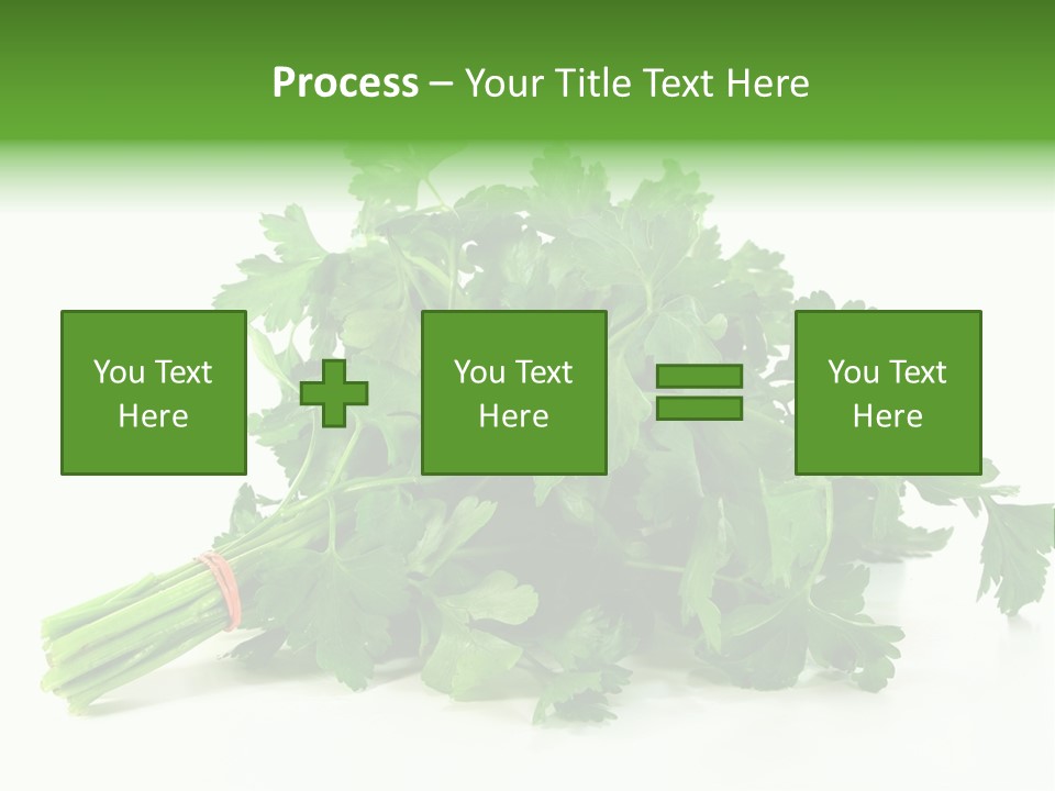 Petroselinum Crispum Soup Spices PowerPoint Template
