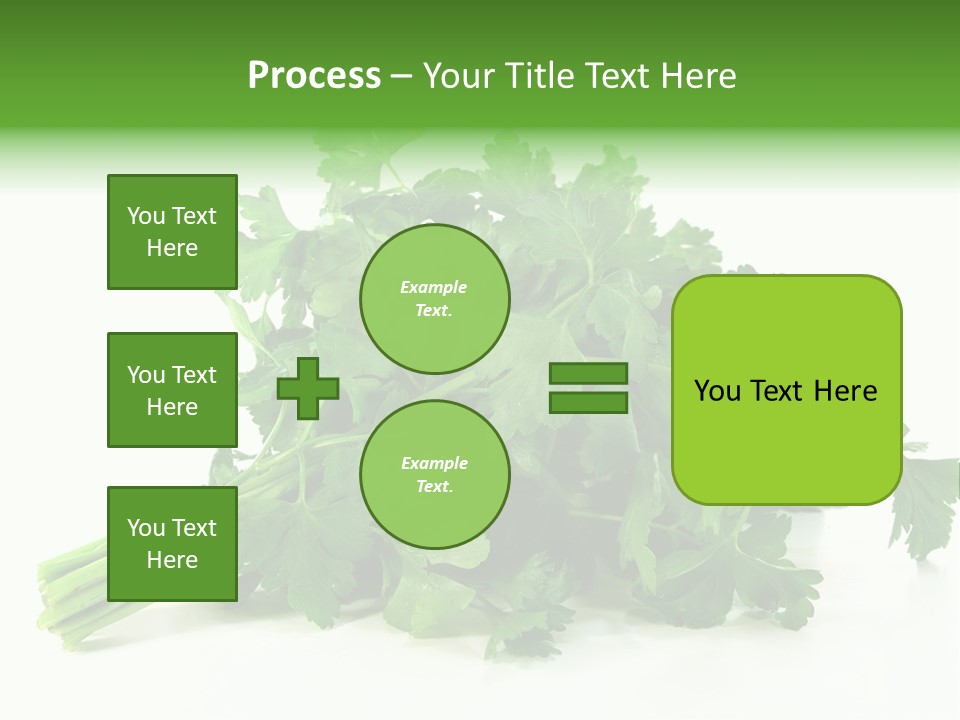 Petroselinum Crispum Soup Spices PowerPoint Template