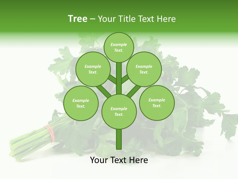 Petroselinum Crispum Soup Spices PowerPoint Template