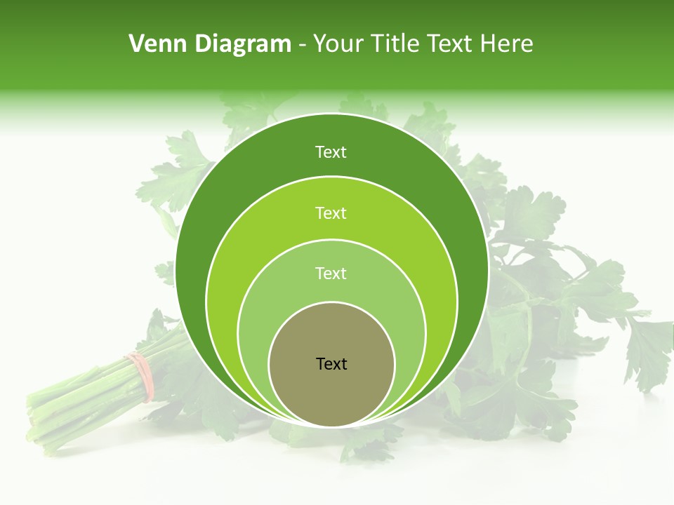 Petroselinum Crispum Soup Spices PowerPoint Template