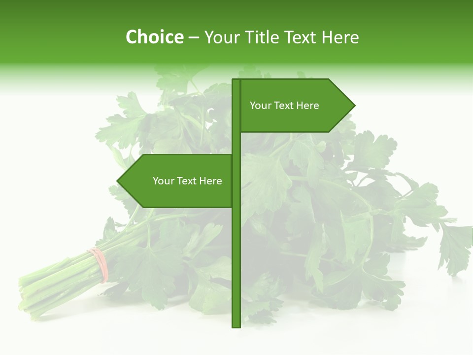 Petroselinum Crispum Soup Spices PowerPoint Template