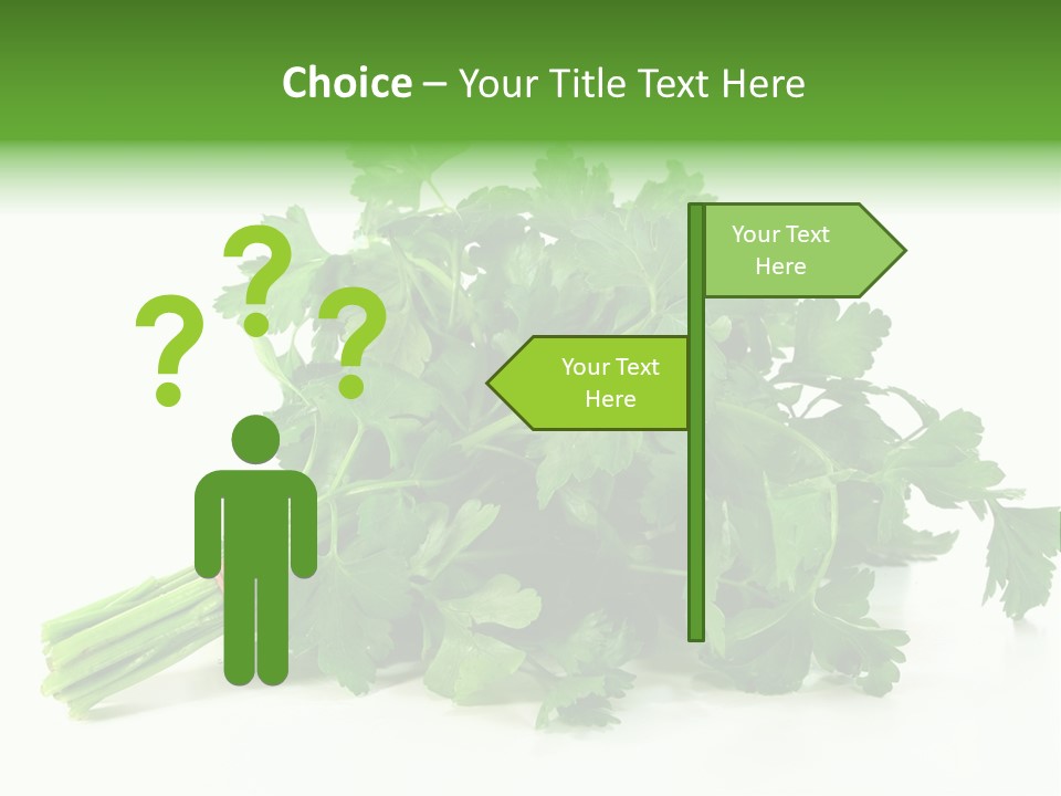 Petroselinum Crispum Soup Spices PowerPoint Template