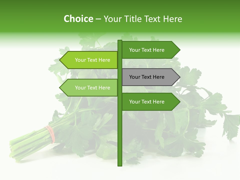 Petroselinum Crispum Soup Spices PowerPoint Template