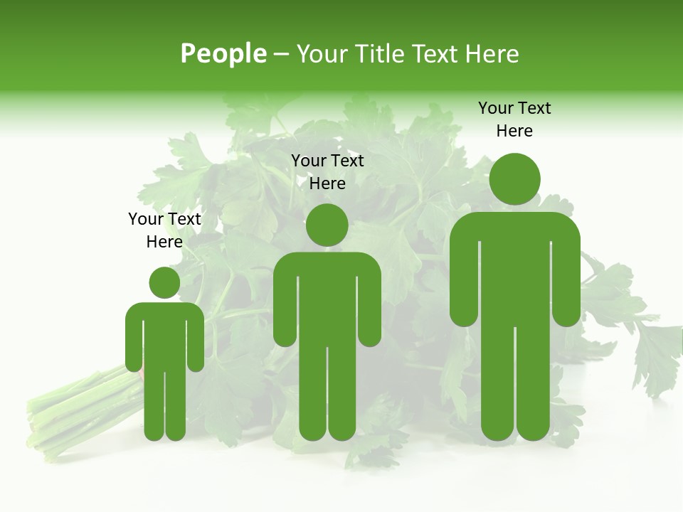 Petroselinum Crispum Soup Spices PowerPoint Template