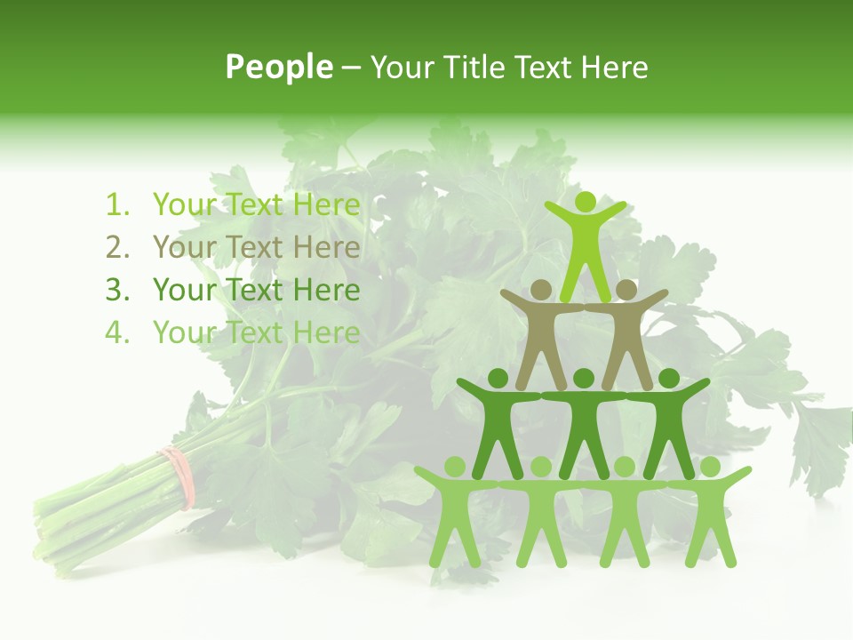 Petroselinum Crispum Soup Spices PowerPoint Template