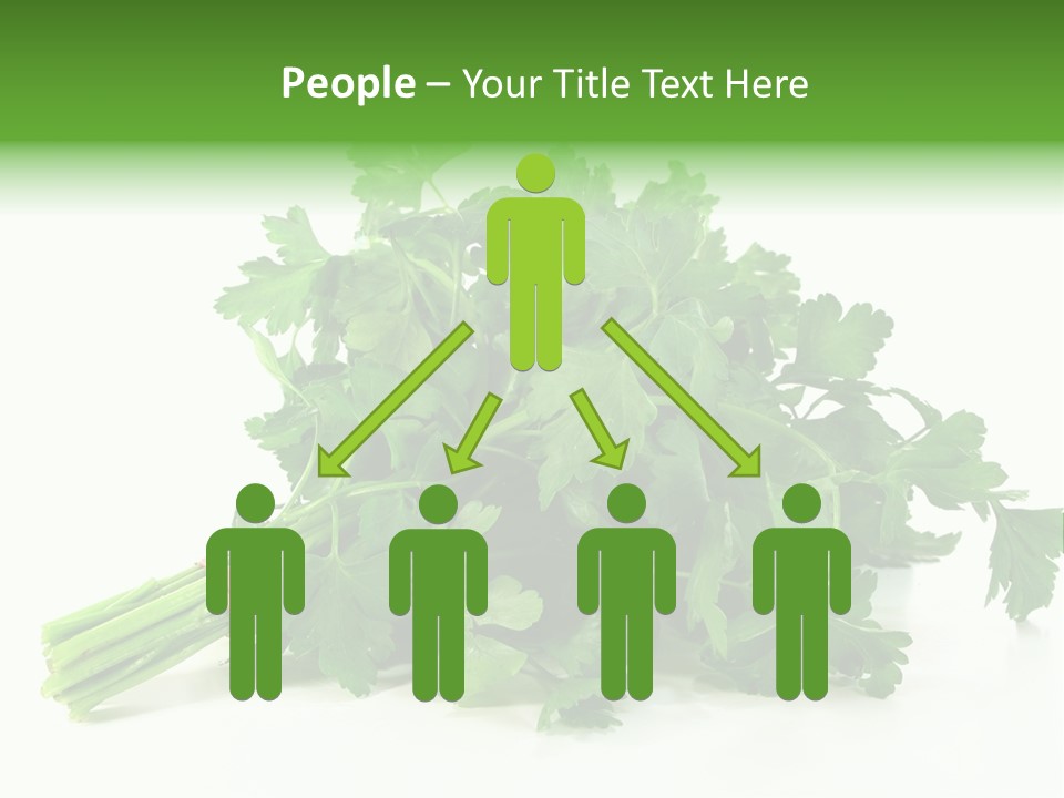 Petroselinum Crispum Soup Spices PowerPoint Template