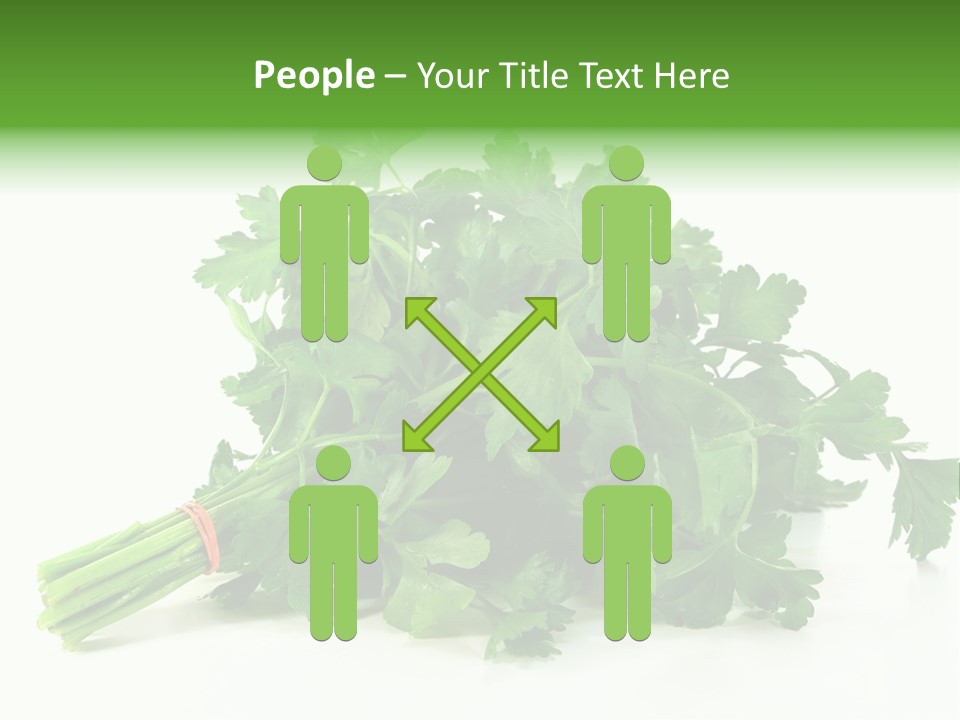 Petroselinum Crispum Soup Spices PowerPoint Template