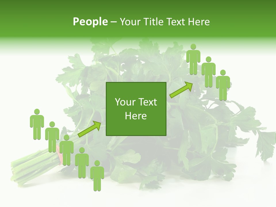 Petroselinum Crispum Soup Spices PowerPoint Template