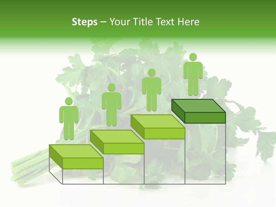 Petroselinum Crispum Soup Spices PowerPoint Template