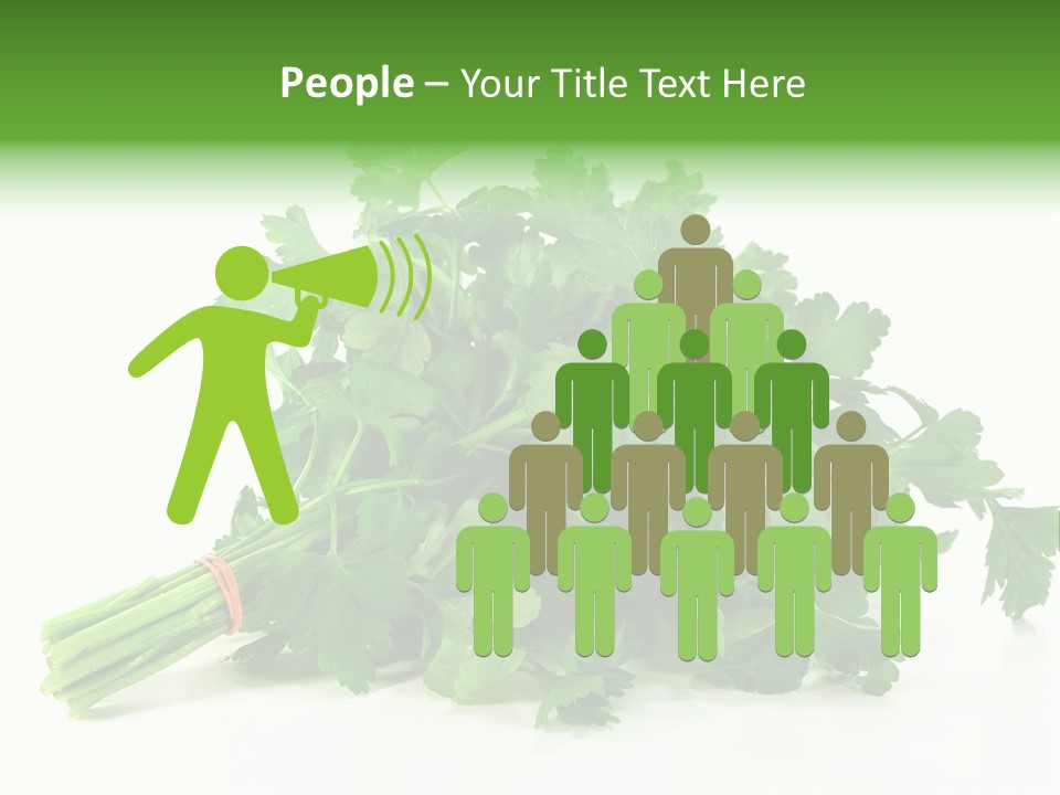 Petroselinum Crispum Soup Spices PowerPoint Template