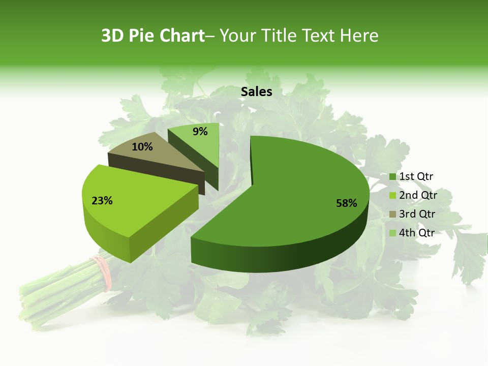 Petroselinum Crispum Soup Spices PowerPoint Template