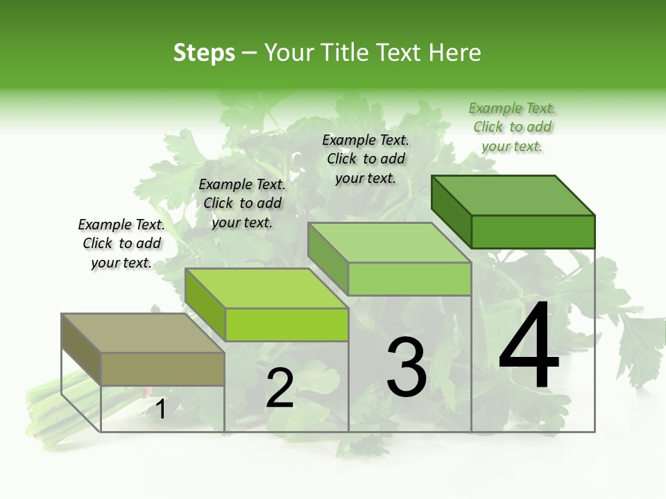 Petroselinum Crispum Soup Spices PowerPoint Template