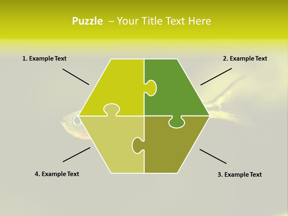 Amazon Fish Tank PowerPoint Template