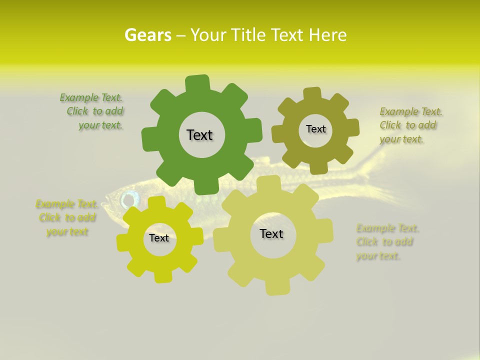 Amazon Fish Tank PowerPoint Template