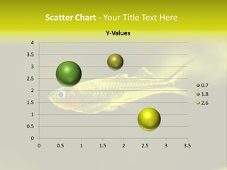 Amazon Fish Tank PowerPoint Template