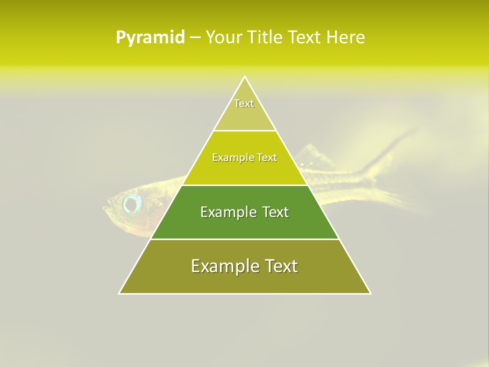 Amazon Fish Tank PowerPoint Template