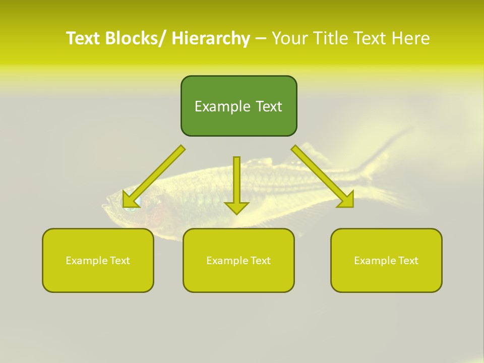 Amazon Fish Tank PowerPoint Template