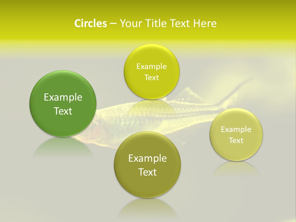 Amazon Fish Tank PowerPoint Template