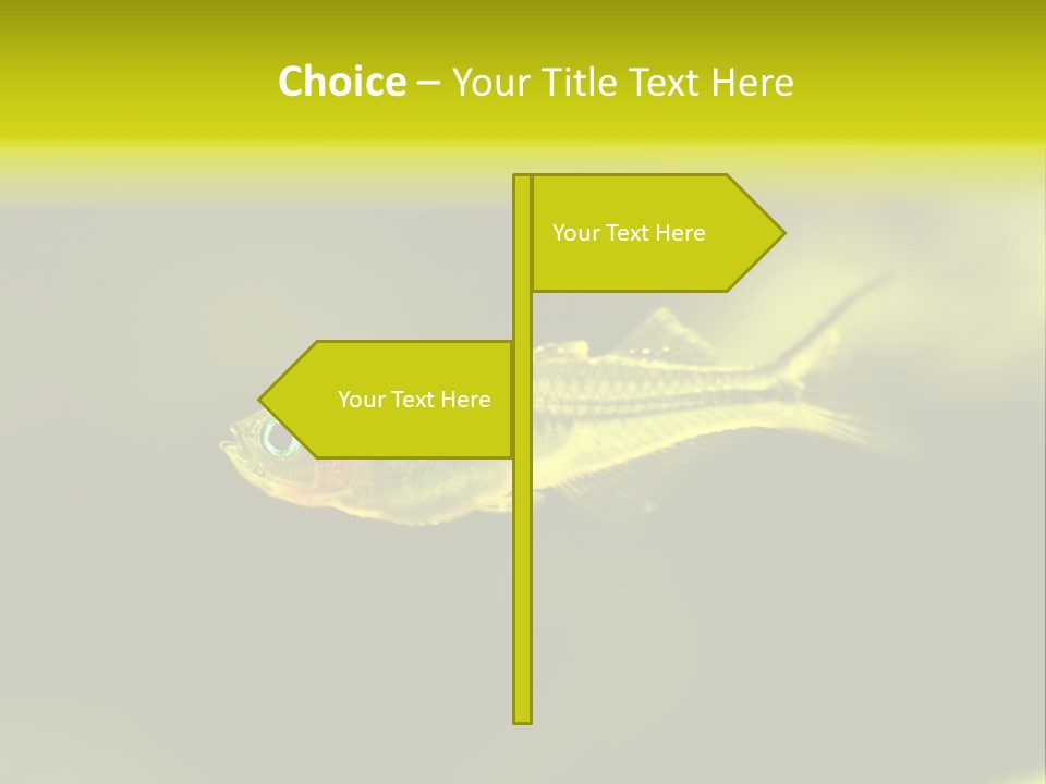 Amazon Fish Tank PowerPoint Template