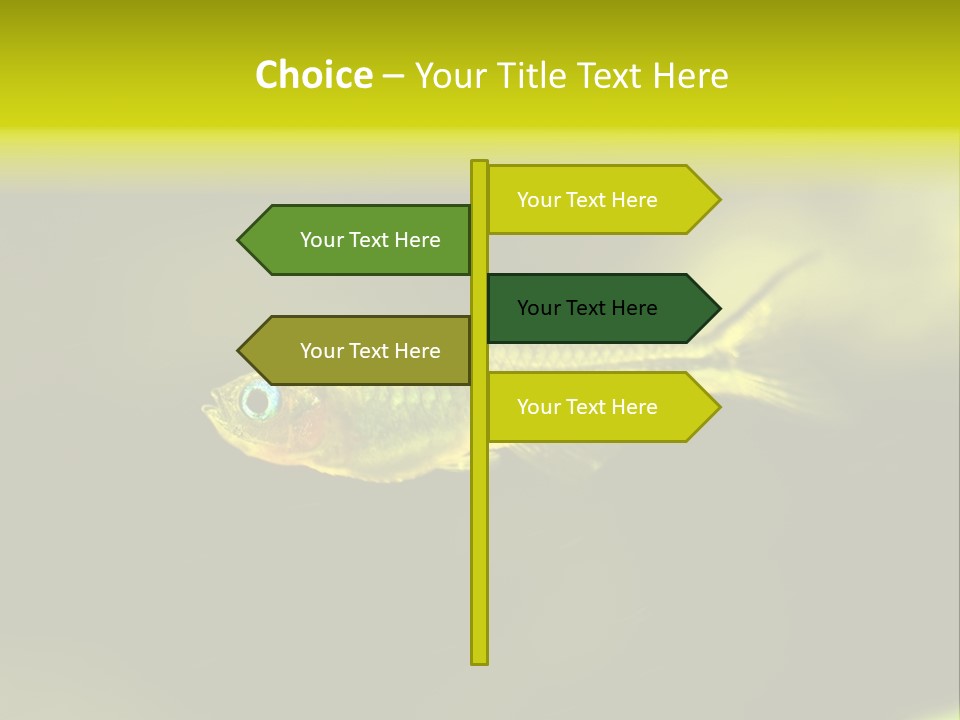 Amazon Fish Tank PowerPoint Template
