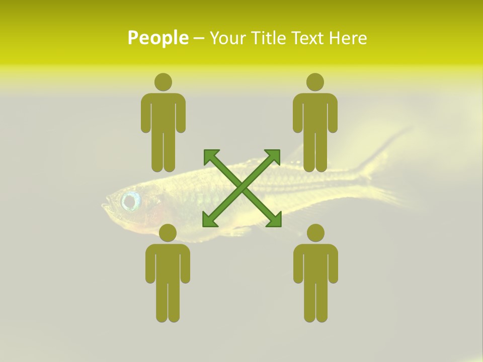 Amazon Fish Tank PowerPoint Template