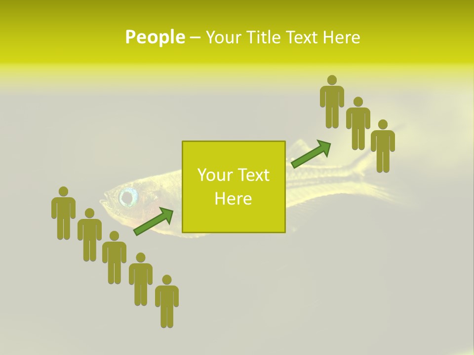 Amazon Fish Tank PowerPoint Template