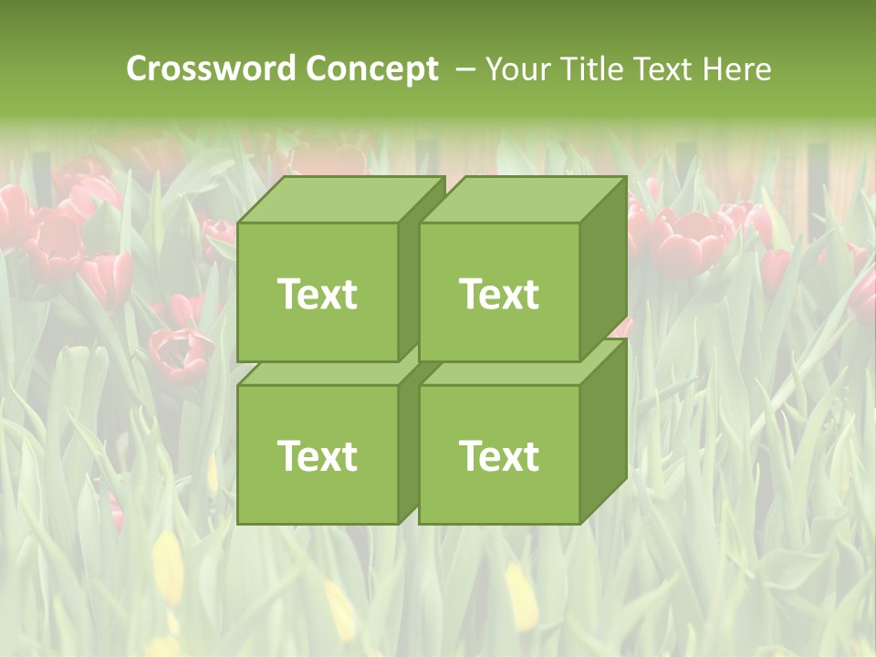 Tulip Beautiful Landscape PowerPoint Template
