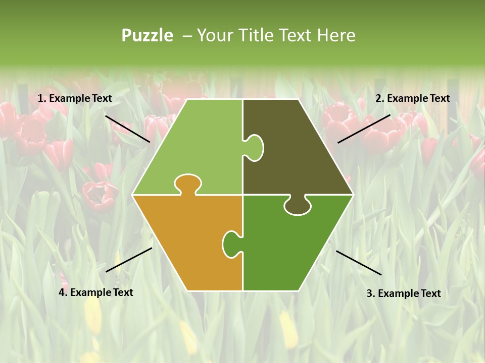 Tulip Beautiful Landscape PowerPoint Template