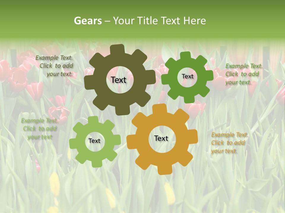 Tulip Beautiful Landscape PowerPoint Template