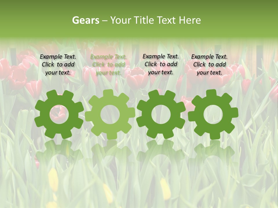 Tulip Beautiful Landscape PowerPoint Template