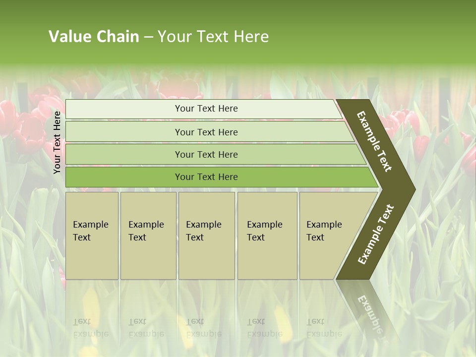 Tulip Beautiful Landscape PowerPoint Template