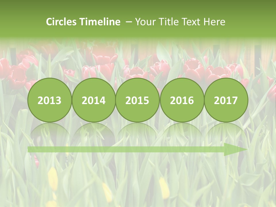 Tulip Beautiful Landscape PowerPoint Template