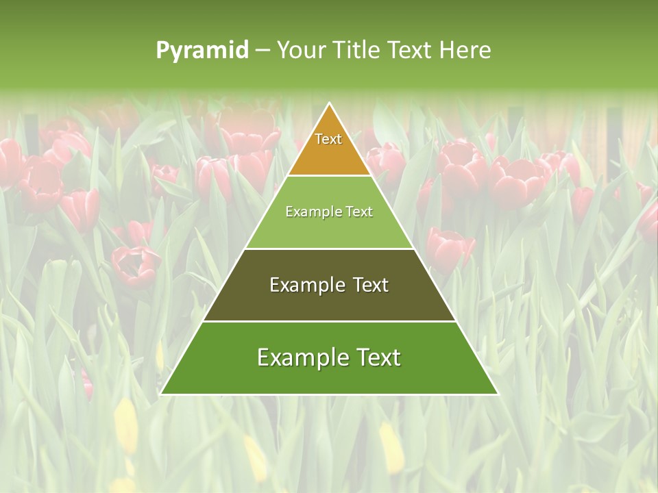 Tulip Beautiful Landscape PowerPoint Template