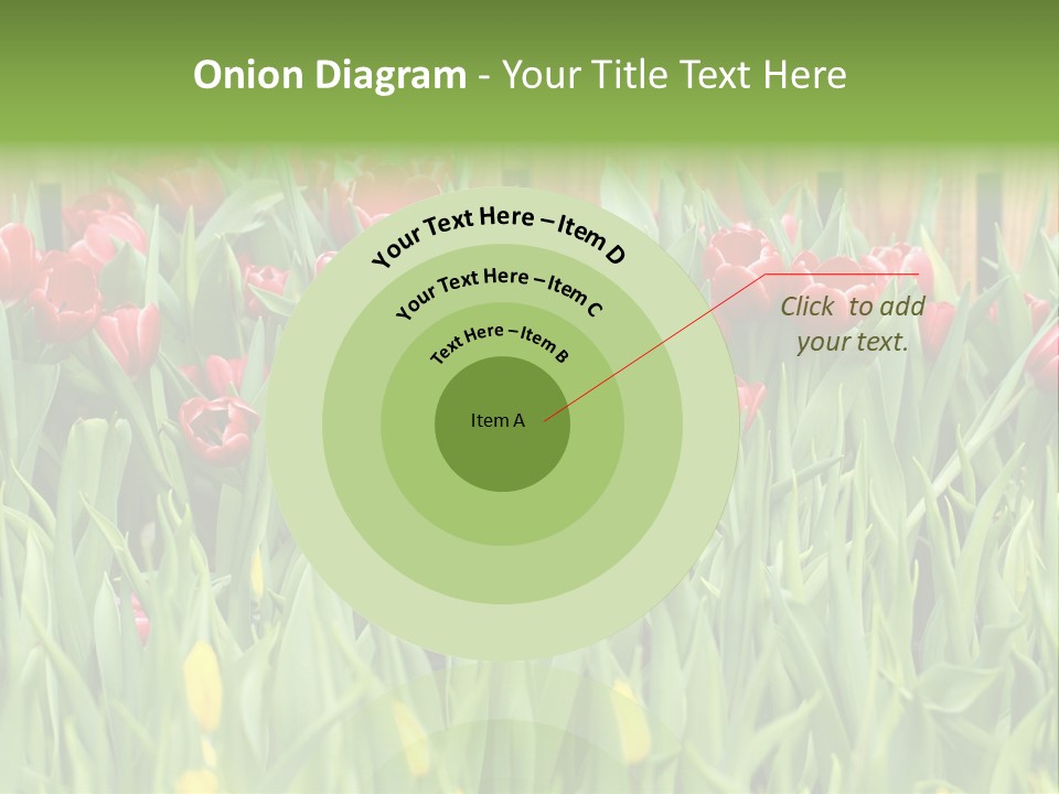 Tulip Beautiful Landscape PowerPoint Template