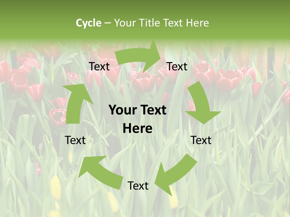 Tulip Beautiful Landscape PowerPoint Template