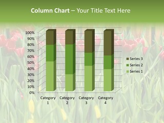 Tulip Beautiful Landscape PowerPoint Template