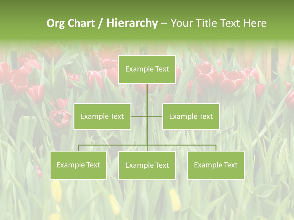 Tulip Beautiful Landscape PowerPoint Template
