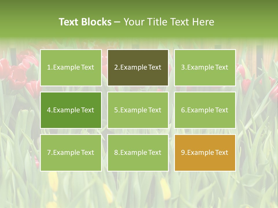 Tulip Beautiful Landscape PowerPoint Template